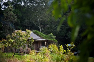 Secluded cottage in the Blue Mountains