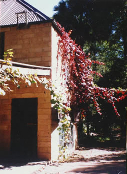 Mud Brick Cottage